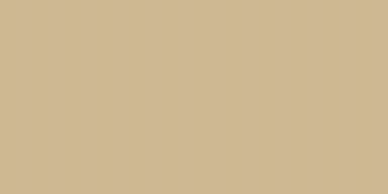 #d2cd90, #caa393 vertical lines, one pixels wide, one pixels apart