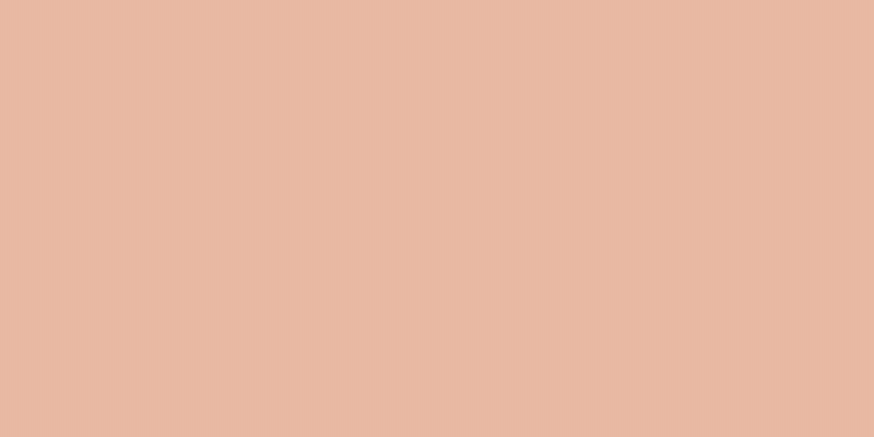 #ddc19b (75%), #eba393 vertical lines, one pixels wide, one pixels apart