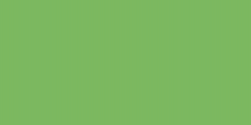 #f3cd2d, #04a393 vertical lines, one pixels wide, one pixels apart